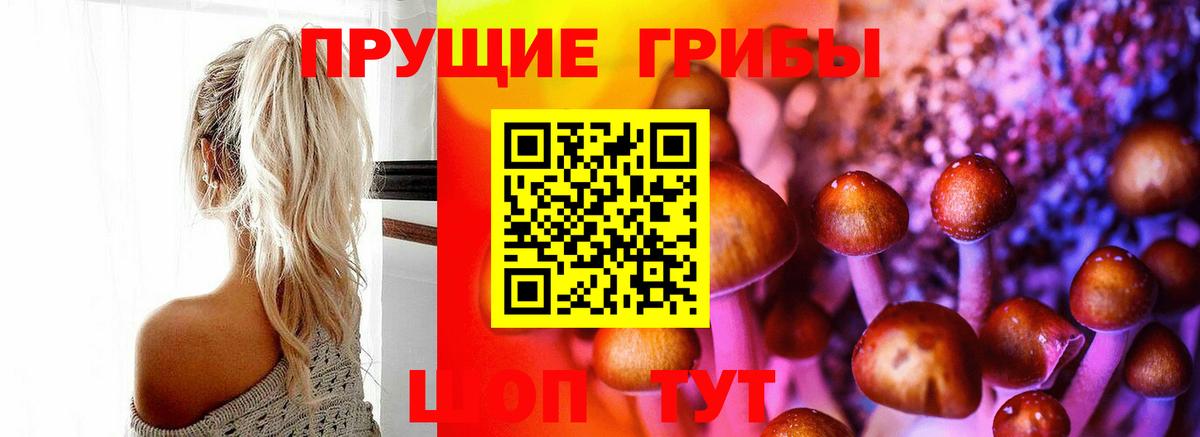Галлюциногенные грибы мицелий  Вход с VPN  Междуреченск  Галлюциногенные грибы Psilocybe 